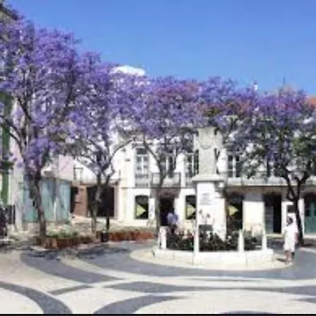 Quinta Palmeiras * 拉哥斯